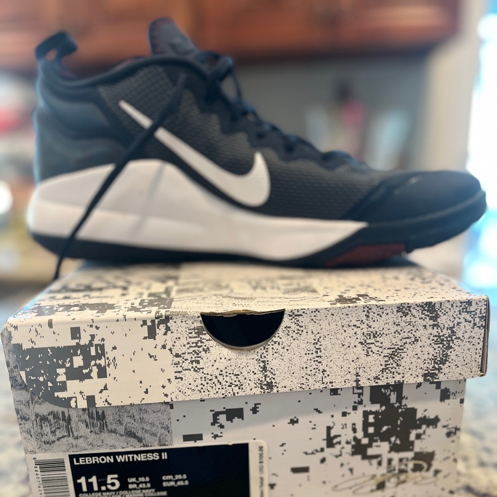 LeBron James witness 2 11.5